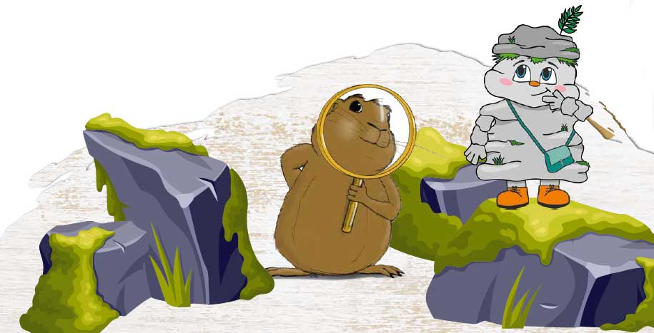 Perzi und die Steine