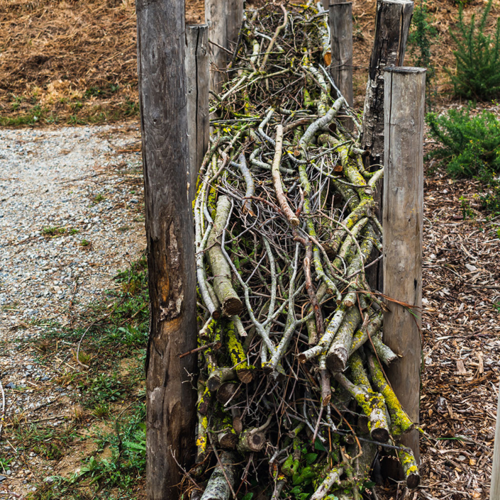 Living hedge